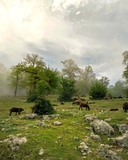 تور ییلاق جهان نما