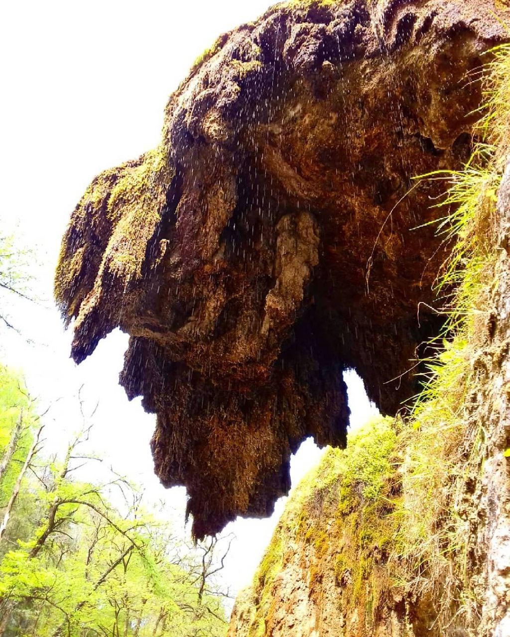 تور طبیعت گردی گرگان