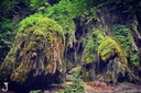 تور طبیعت گردی گرگان