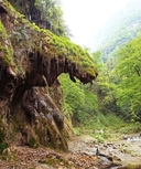 تور طبیعت گردی گرگان