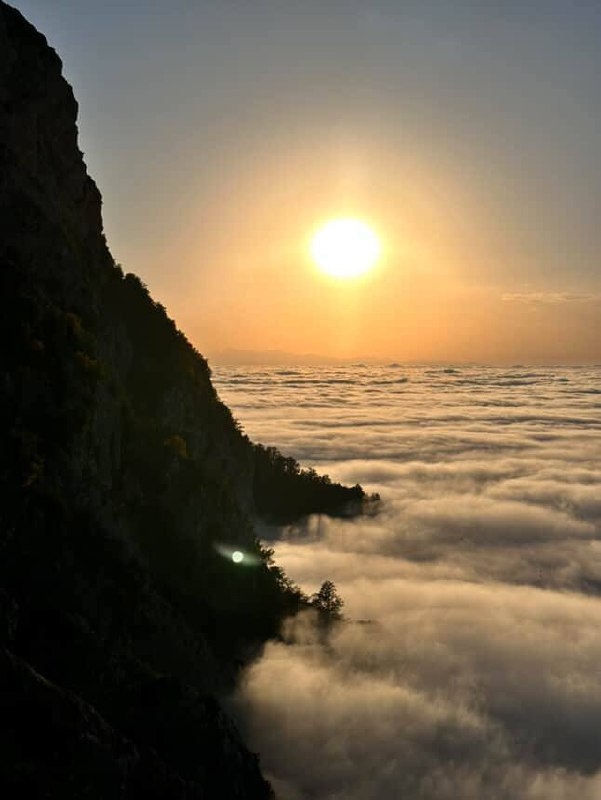 تور اوپرت از تهران
