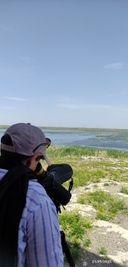 تور پرنده نگری