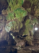 تور پرنده نگری