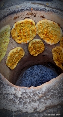 تور پرنده نگری