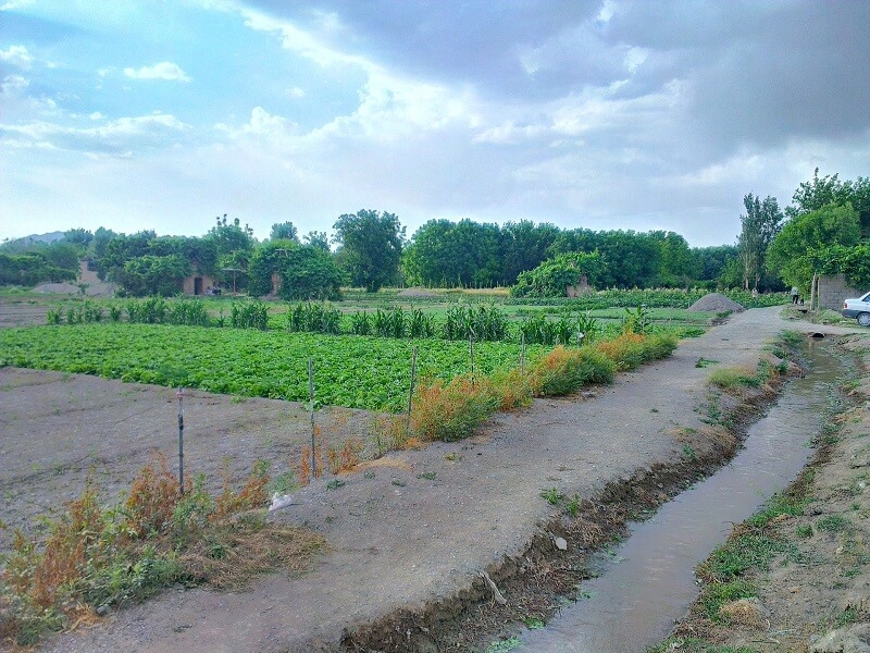تور یک روزه اصفهان