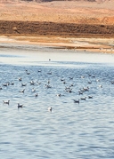 تور قم گردی