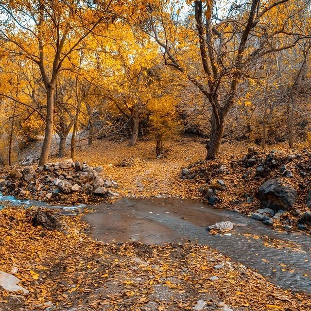 تور پاییزی