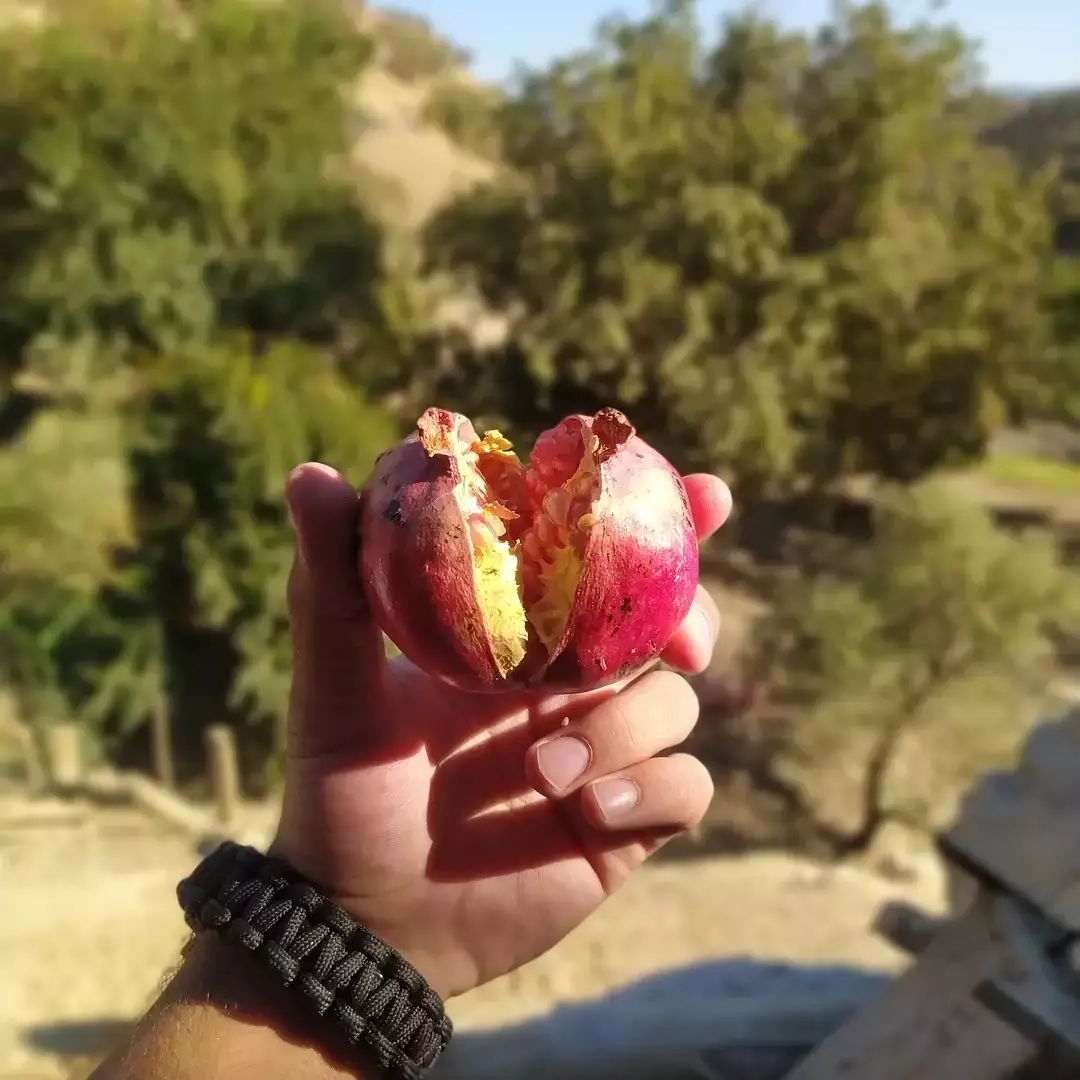 تور طبیعت گردی لاکچری