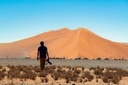 تور کویر مصر