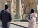 تور تخت جمشید از شیراز