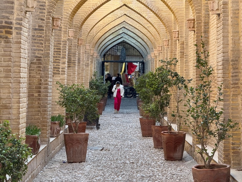 تور شیراز گردی