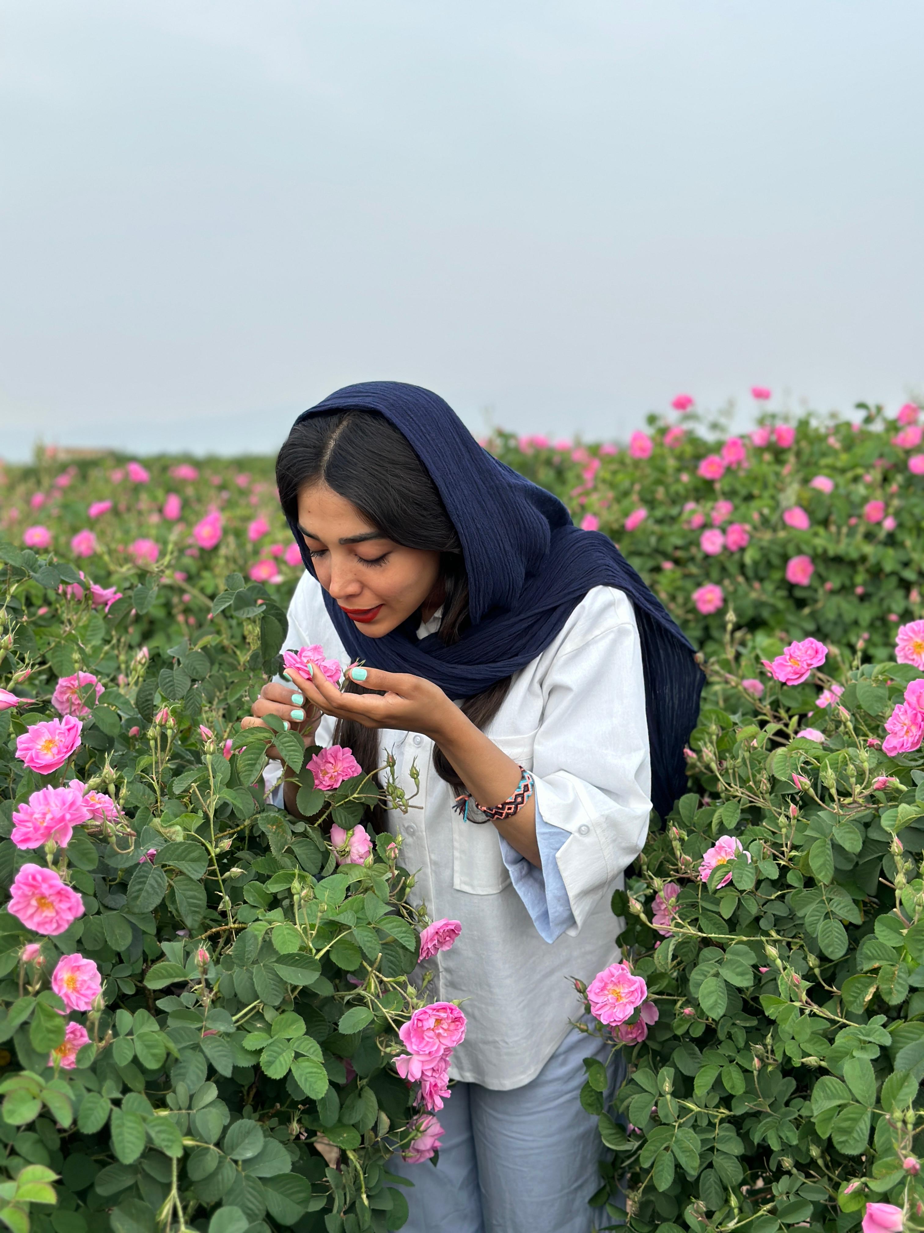 تور گلاب گیری کاشان
