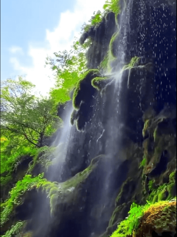 تور گرگان گردی