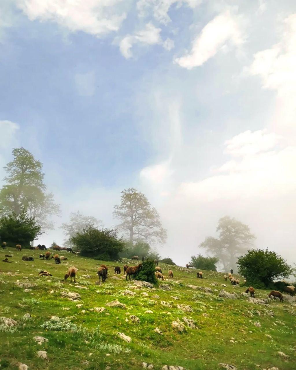تور ییلاق جهان نما