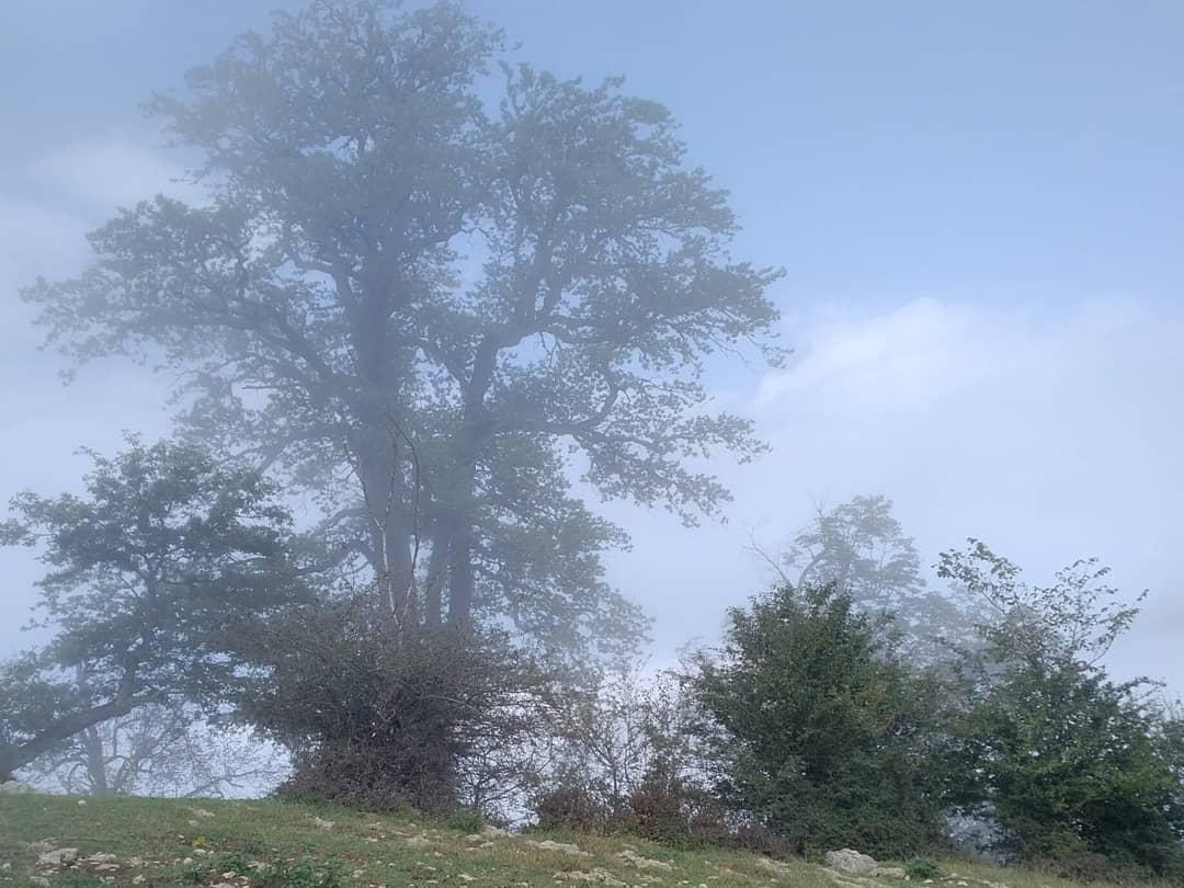 تور جهان نما گلستان