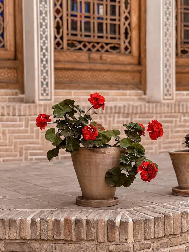 تور یک روزه گردشگری کاشان