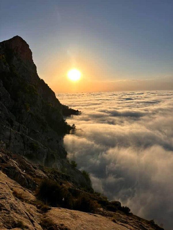 تور اوپرت از تهران