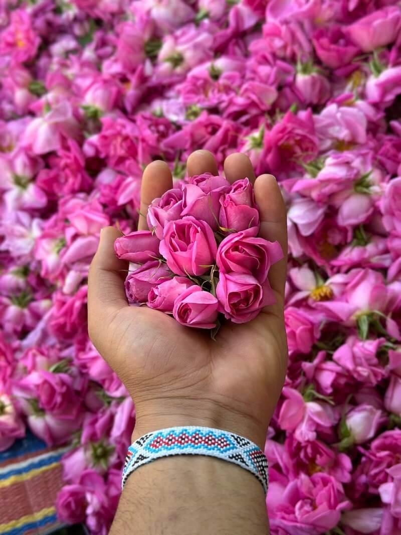تور نیاسر کاشان