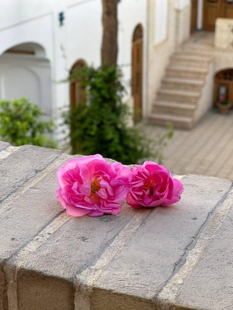 تور گلابگیری کاشان