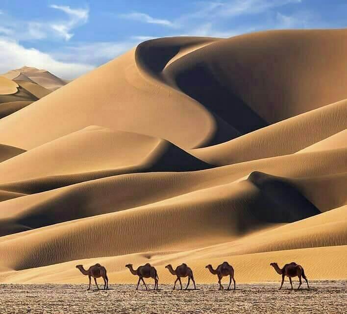 تور کویر مرنجاب
