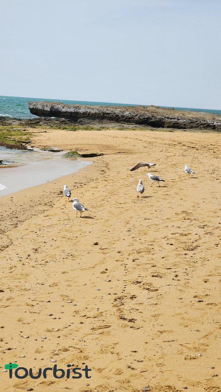 رزرو تور گردشگری چابهار