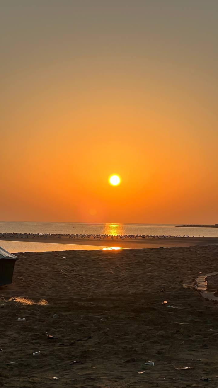 ماهیگیری یک روزه