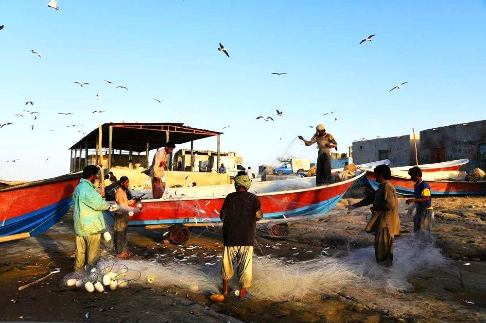 ماهیگیری