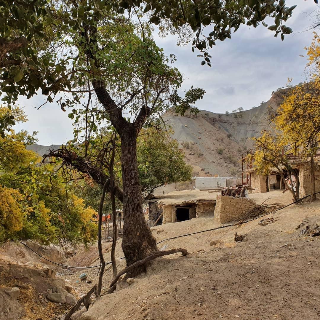 تور طبیعت گردی لاکچری