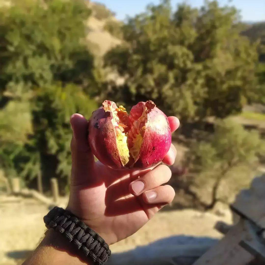 تور طبیعت گردی لاکچری