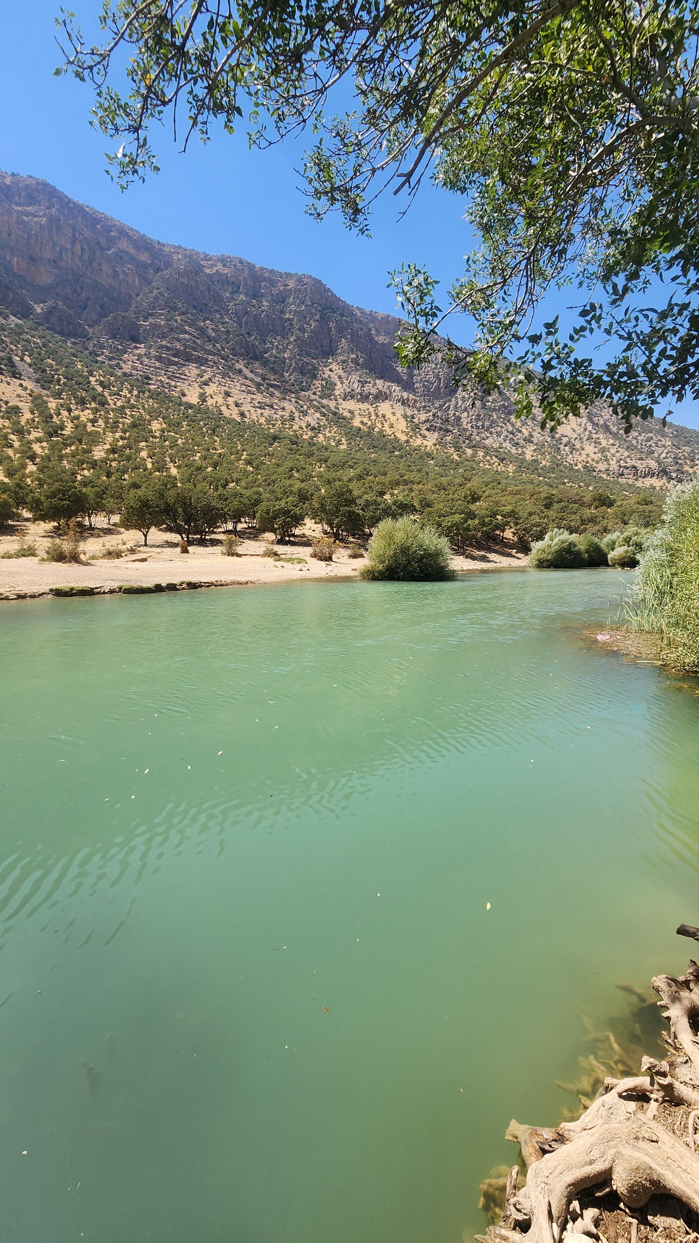 تور تفریحی ماهیگیری در رودخانه
