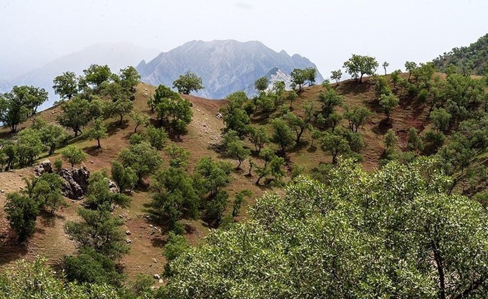 تور یکروزه طبیعت گردی