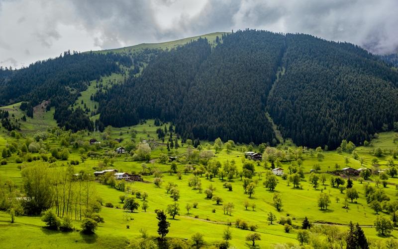 تور گردشگری رامسر