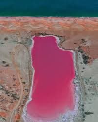 تالاب صورتی