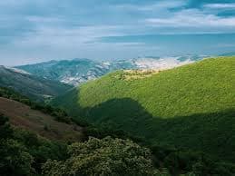 تجربه تیراندازی محلی