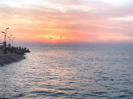 گشتوگذار در سواحل بوشهر