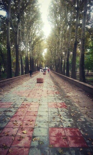 شهر کرج در استان البرز